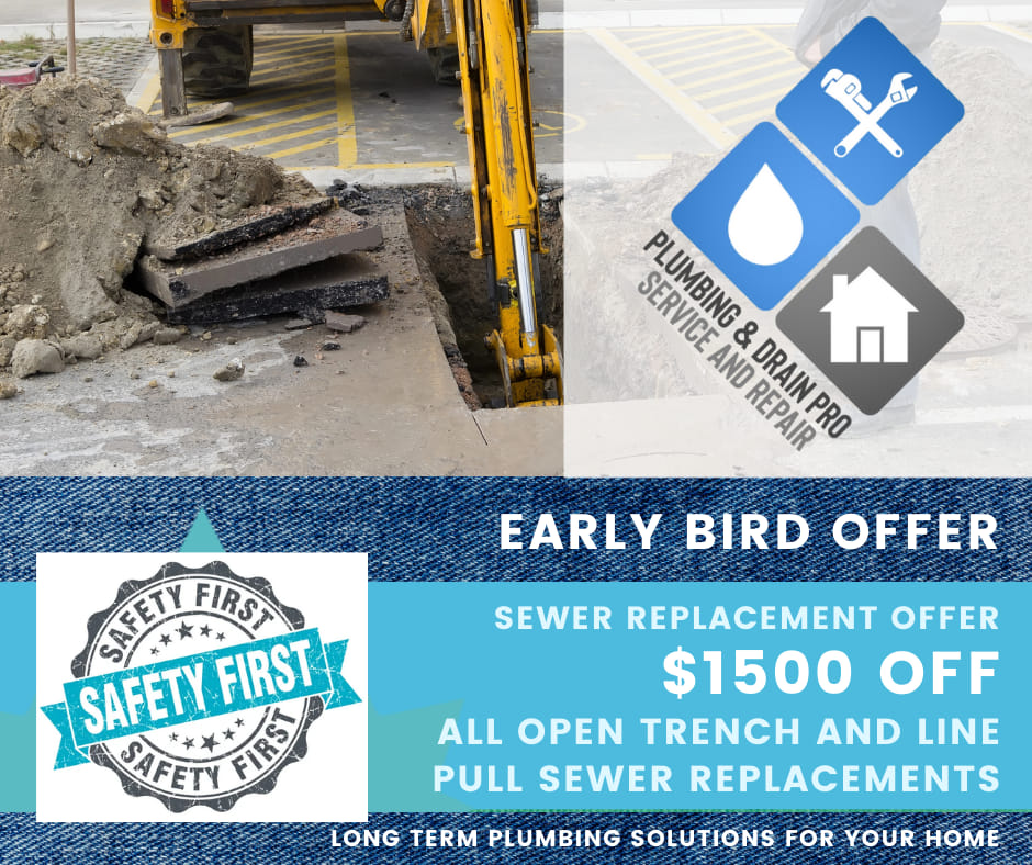 Early Bird Offer